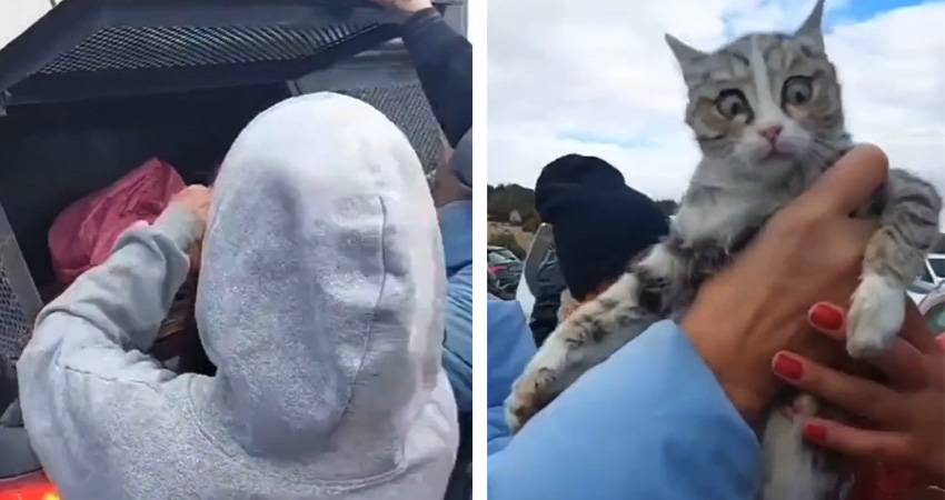 Cehennem Odunları Sizi!