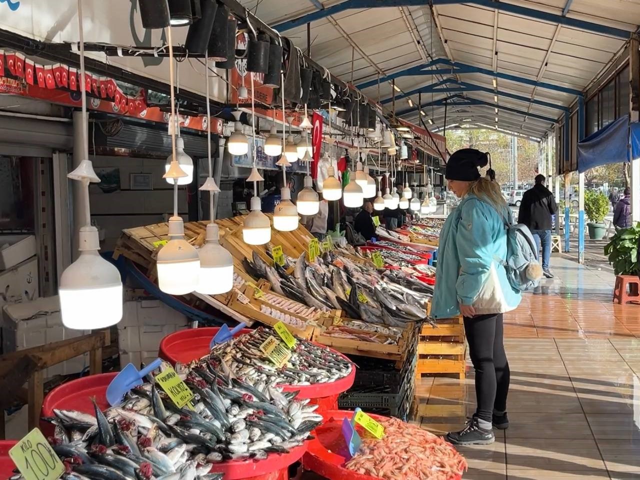Marmara hamsisinden sonra Karadeniz hamsisinde de bolluk yaşanıyor!