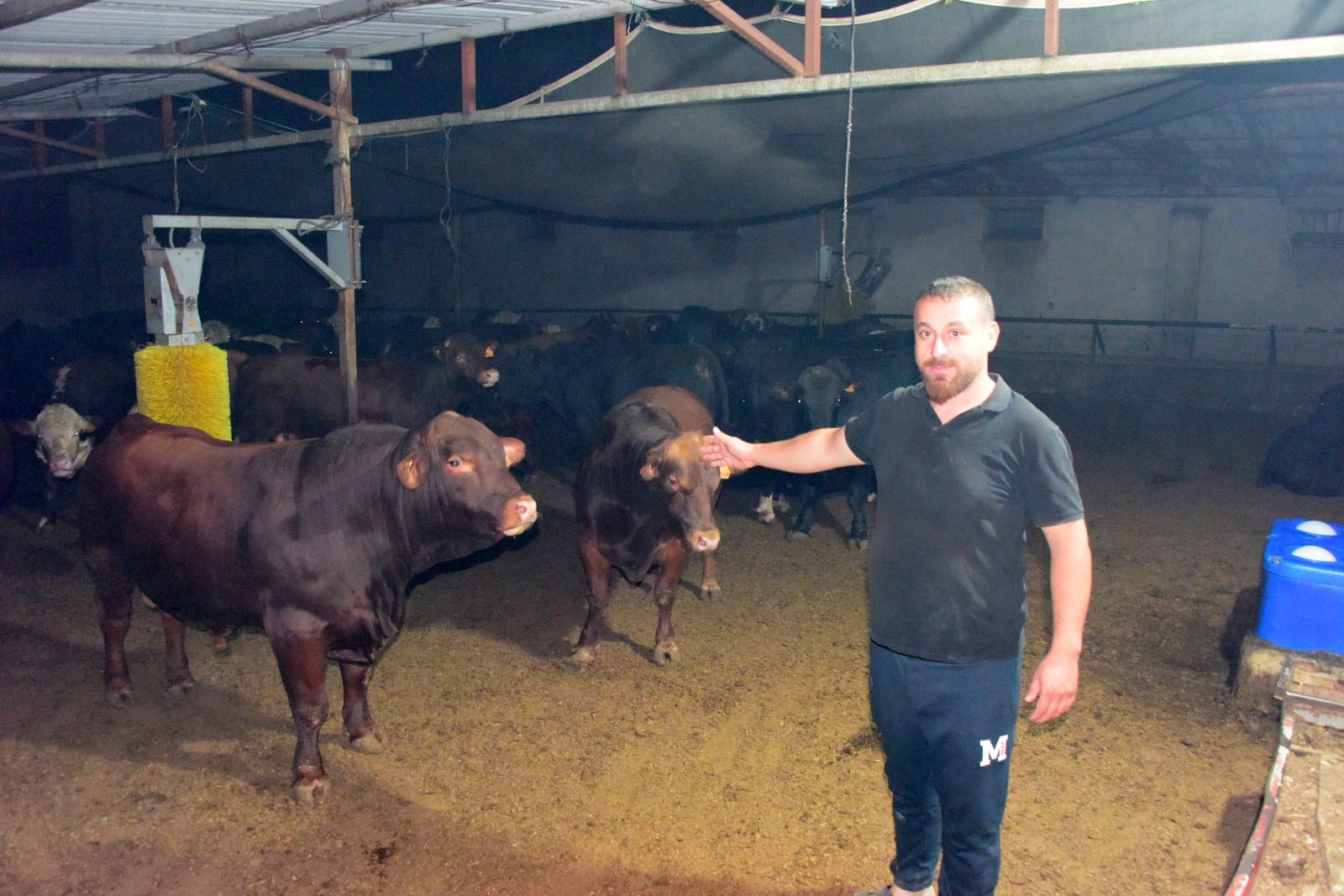 Kayseri'de 200 ton saman alev aldı, 78 hayvan karbon monoksit gazından etkilendi!