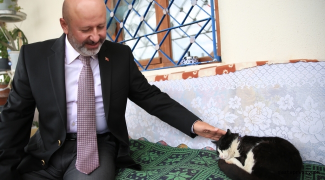 KOCASİNAN KÜÇÜK DOSTLARA SAHİP ÇIKTI