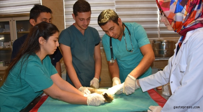 KÜÇÜK DOSTLARA MÜDAHALE AN BE AN KAMERALARA YANSIDI