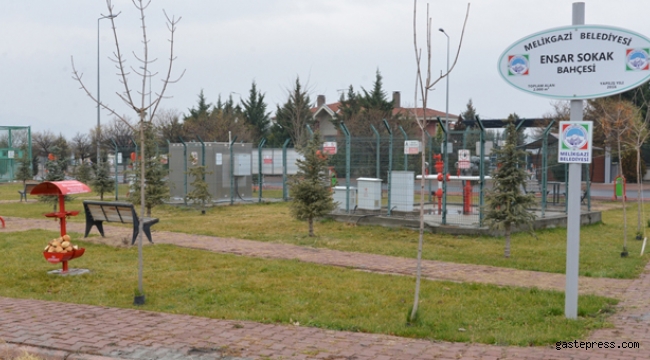 Melikgazi Belediyesi Sokak hayvanları için beslenme noktaları oluşturdu