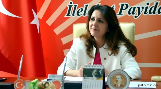 CHP Kayseri İl Başkanı Ümit Özer Mehmet Özhaseki'ye yüklendi 
