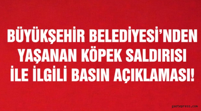 Köpek saldırısı sonrası büyükşehirden basın açıklaması