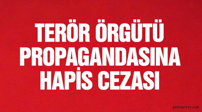 Terör örgütü propagandasına 1 yıl 6 ay hapis cezası