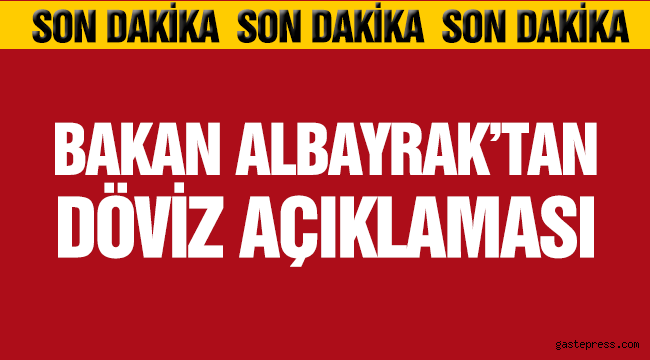 Bakan Albayrak'tan 'Döviz' açıklaması