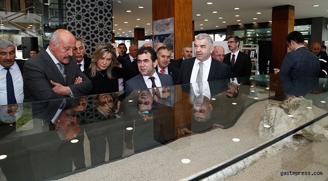 Kayseri'de bulunan 7,5 milyon yıllık fosiller, sergide ziyarete açıldı