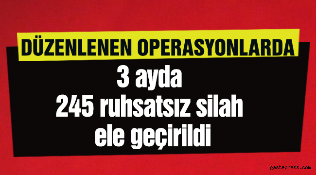 Kayseri'de 3 ayda 245 ruhsatsız silah ele geçirildi
