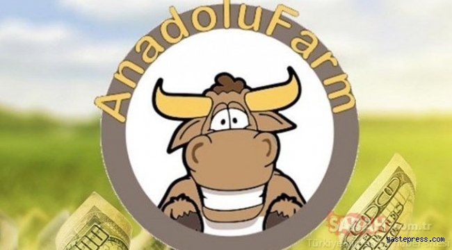 'Anadolu Farm' soruşturmasında 41 sanığa dava açıldı