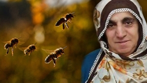 Arının soktuğu kadın hayatını kaybetti
