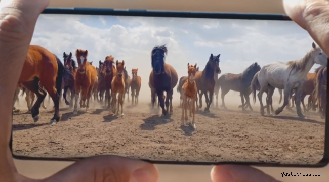 Reklam Filmlerinin Gözde Mekanı "Hürmetçi Sazlığı"