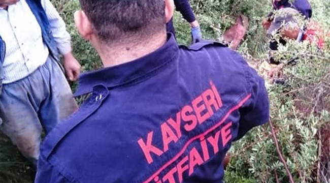 Uçuruma yuvarlanan inek 3 saatte kurtarıldı