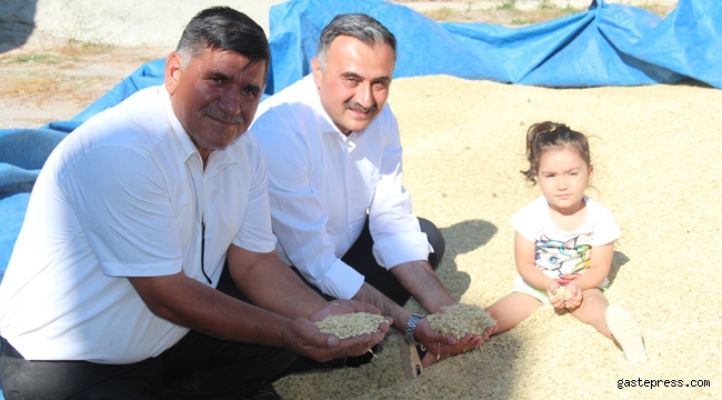 Develi'de Gacer Hasadı Başladı!