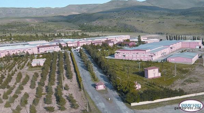 Kayseri'nin Yarım Asırlık Ekonomi Çınarı; Saray Halı!