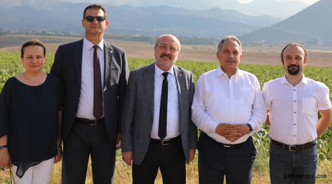 KAYÜ Kampüs Alanı için Düşünülen Arazide Fizibilite Çalışmaları Sürüyor!