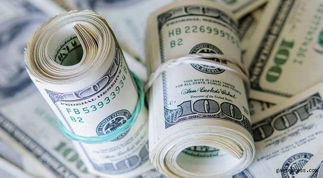 Merkez Bankası'nın faiz kararı doları nasıl etkiledi?