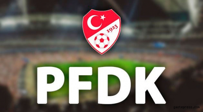 Fatih Terim ve Erol Bedir PFDK'ya sevk edildi!