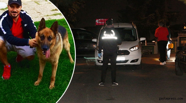 Beşiktaş'ta vahşet... Evin bahçesindeki köpek kurşunlanarak öldürüldü