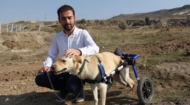 Engelli köpeği sahiplenerek yurtdışından yürüteç getirttiler