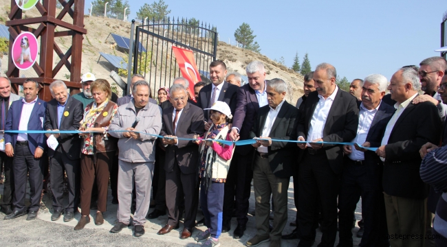 Kayadan oyma mağaralar, hayvan barınağına dönüştürüldü