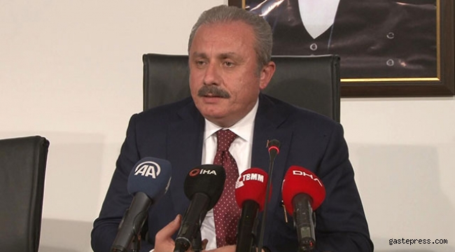 Şentop'tan Fransa'nın kınama önergesine destek veren HDP'li vekile tepki