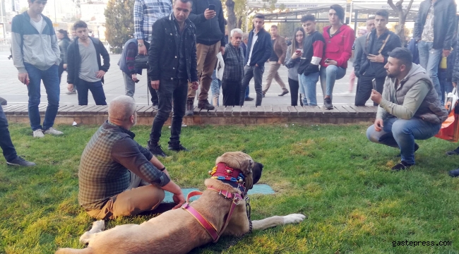 Kayseri'de dev Kangal ilgi odağı oldu