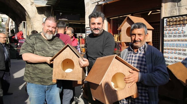 Sokak kedileri için 100 kedi evi