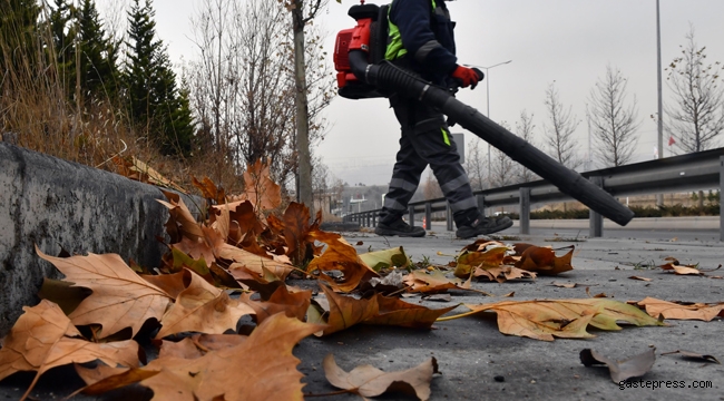 Başkent Ankara Sokaklarında Dökülen Yaprakların Temizliği Yapılıyor!