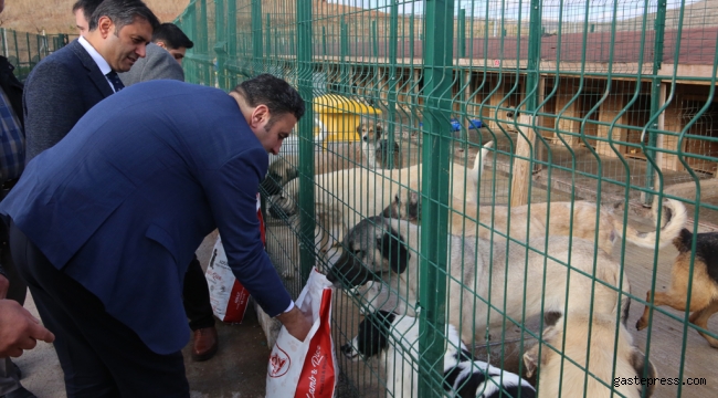 Bir Ton Yem Bağışladılar