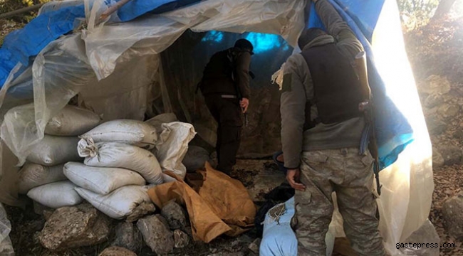 Diyarbakır Lice'de Kıran 11 başlatıldı