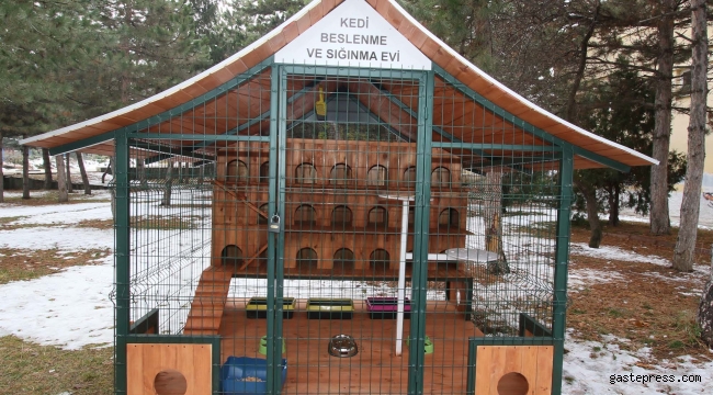 Hacılar'da sokak kedileri için sığınma ve beslenme evi