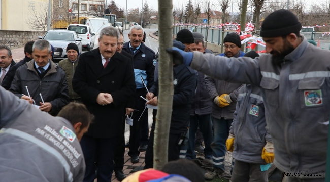 Melikgazi Belediye Başkanı Mustafa Palancıoğlu “Fidan değil, Ağaç dikiyoruz”