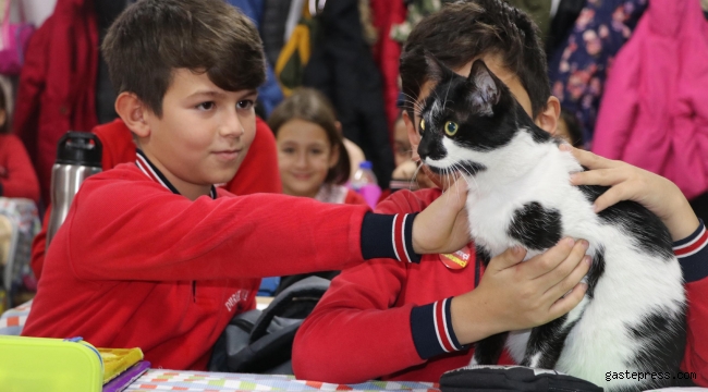 Müdürün sahiplendiği kedi, öğrencilerin neşesi oldu
