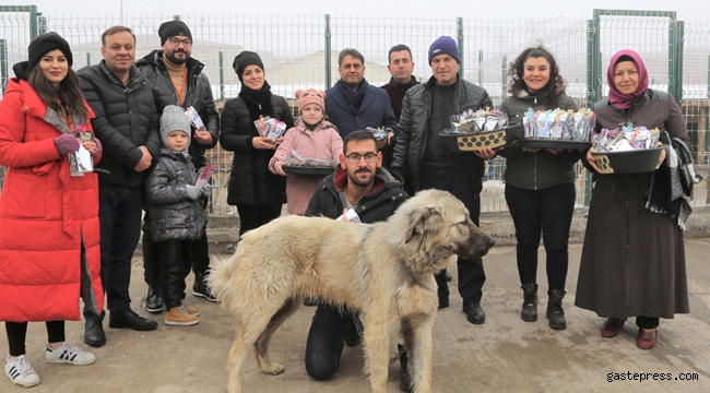 Sivas'da Sokak Hayvanları Emin Ellerde!