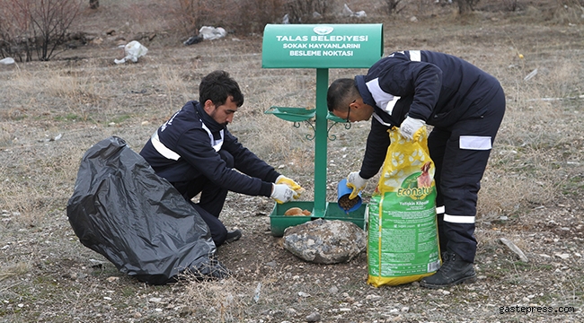 Talas Belediyesi Yaban Hayvanlarını Unutmadı