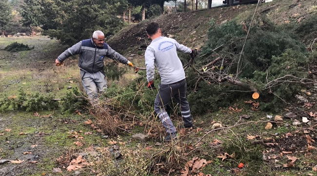 Antalya Alanya’daki mezarlıklarda  86 kişilik ekiple temizlik yapıldı!