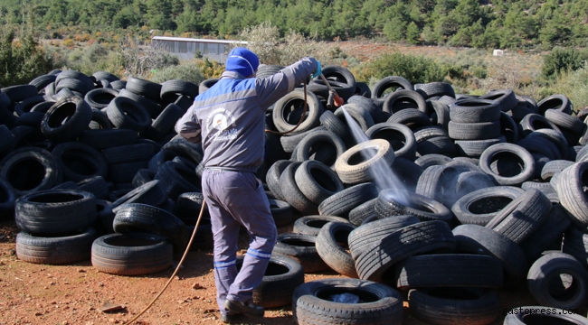 Antalya Büyükşehir Belediyesi'nde vektörel mücadele tam gaz devam ediyor!