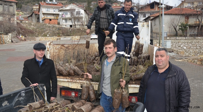 Antalya Büyükşehir’den İbradı’da çiftçilere fide desteği geldi!