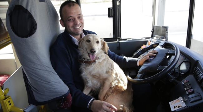 Antalya'da soğuk havada otobüse sığınan köpek içimizi ısıttı! 