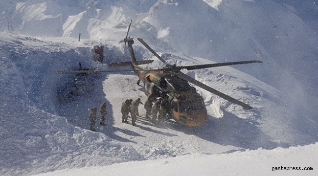 Hakkari'de, 'Kapan-3 Kavaklı Operasyonu' başlatıldı