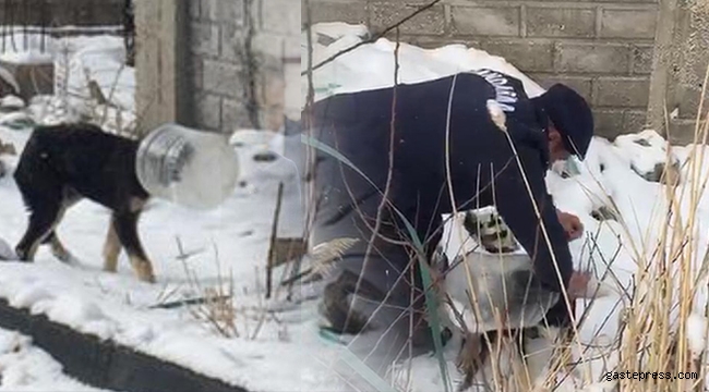 Kafası bidona sıkışan köpeği jandarma kurtardı