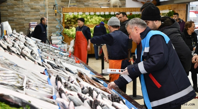 Kayseri'de balık denetimi