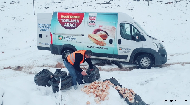Malatya Büyükşehir Belediyesinden hayvanlara şefkat eli uzandı!