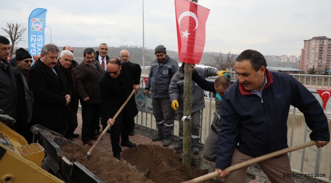 Melikgazi Muhtarlarına Özel Ağaçlandırma Alanı