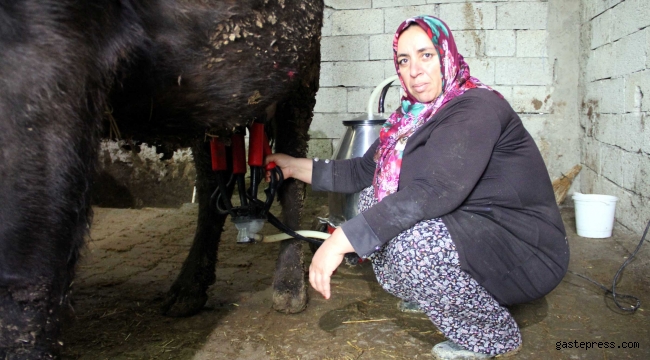 'Mikrokredi' ile çiftlik kurdu