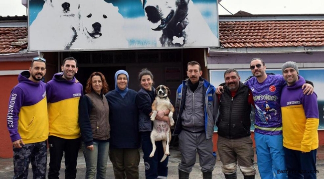 Kayseri Büyükşehir'den Köpek Barınma Evi Satın Alma, Sahiplen!