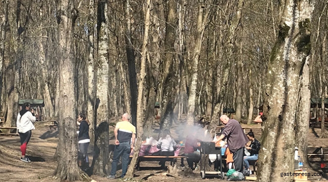 Belgrad Ormanı'nda yasağa rağmen mangala devam 