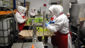 Bolu'nun çam kolonyasına talep arttı 
