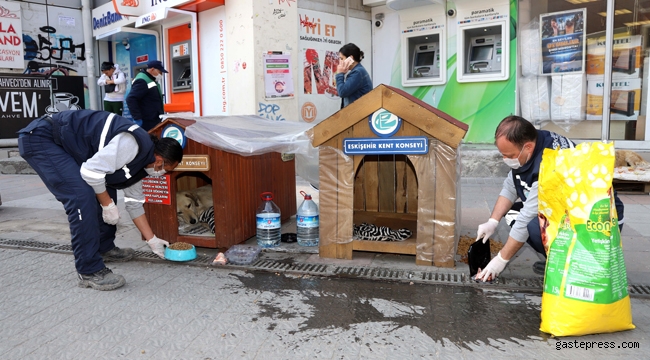 Eskişehir Büyükşehir Sokak Hayvanlarını da unutmuyor!