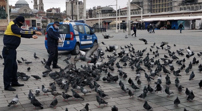 İstanbul’un Can Dostları Zabıtaya Emanet!